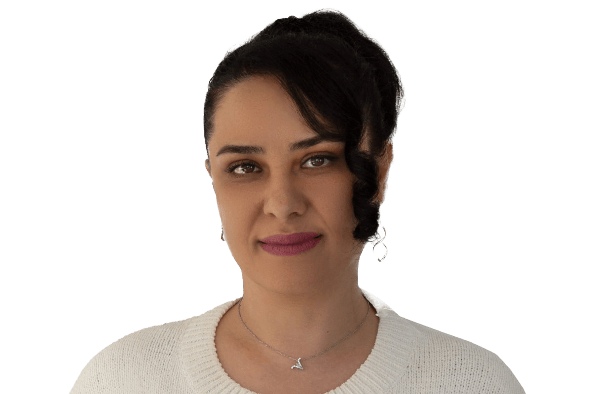 Nasrin Khodapanah Programmeur