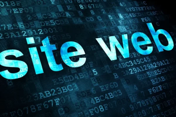 Site web professionnel avec données numériques représentant une présence en ligne moderne